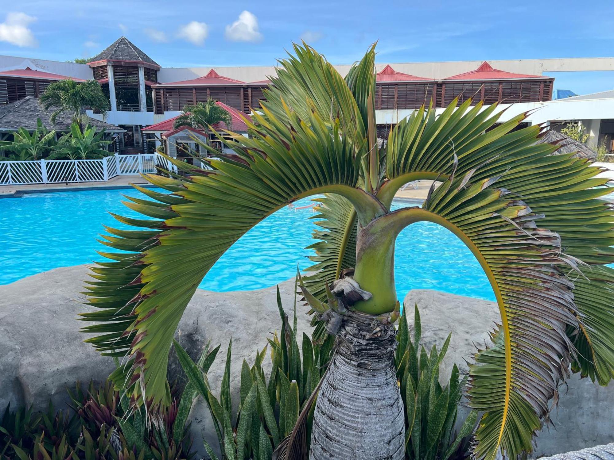 Studio Bord De Mer Avec Piscine - Le Manganao, Saint-Francois Saint-Francois (Grande-Terre) Exterior foto